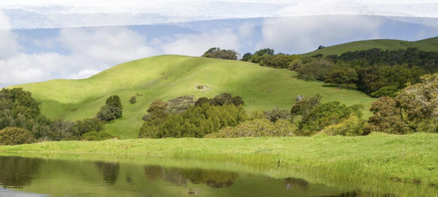 Marin Agricultural Land Trust